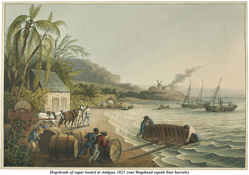 Sugar Hogsheads loaded Antigua 1823